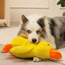 Load image into Gallery viewer, outfany Calm Duck - Libiyi