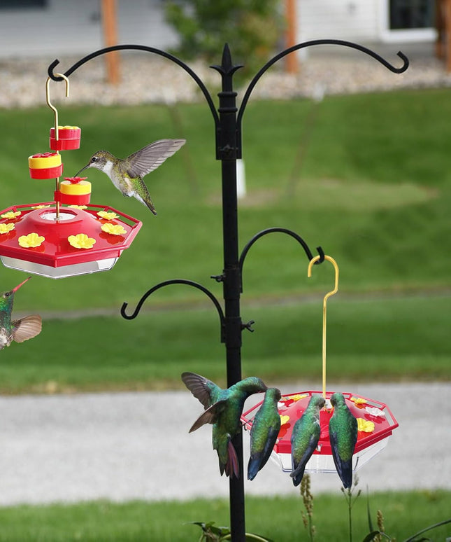 Sweety Hummingbird Feeder - Libiyi