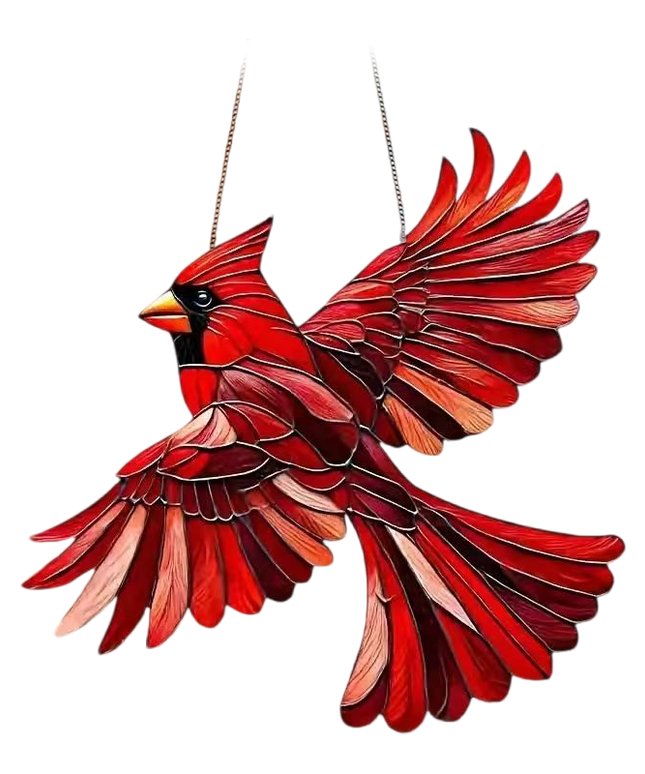 Outfany Spirit Birds-FR - Libiyi