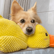 Load image into Gallery viewer, outfany Calm Duck - Libiyi