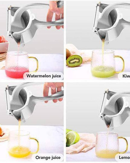 Stainless Steel Juicer - Libiyi